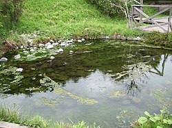 鶴見川: 概要, 地理, 生物