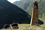 Tusheti, kvavlo.jpg