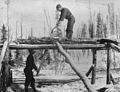 Two men whipsawing lumber, possibly at Bennett, British Columbia, ca 1898 (HEGG 252).jpeg
