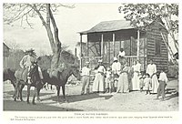 Puerto Rico (circa 1899): "The farming class is about on a par with the poor darkies down South, and varies much even in race and color, ranging from Spanish white trash to full-blooded Ethiopians." Typical native farmers.jpg
