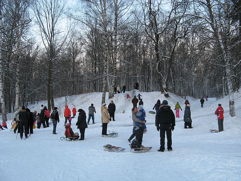 File:Udelny park, winter - panoramio.jpg