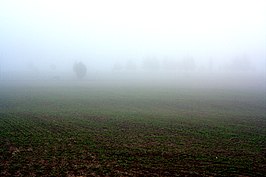 Vana-Koiola in de mist