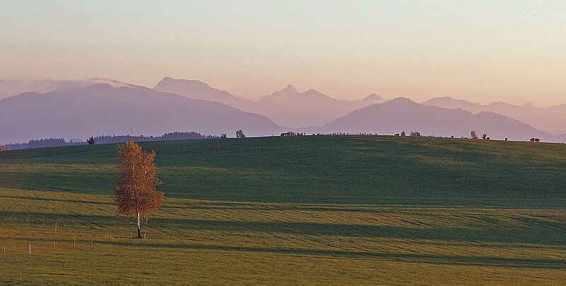 File:Unterthingau - Brandlemoos - Alpen in rosa 02.JPG