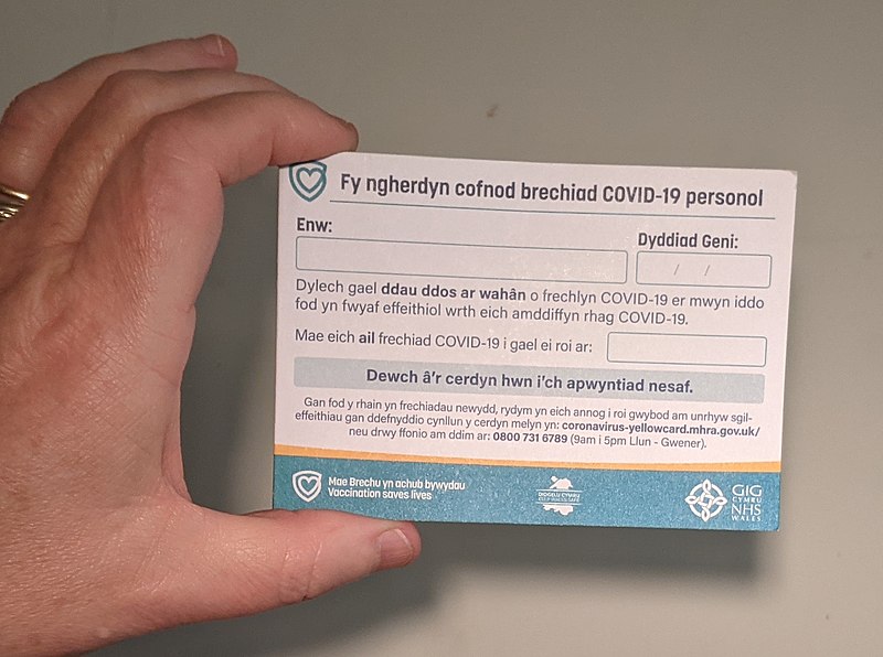 File:Vaccination card 02.jpg