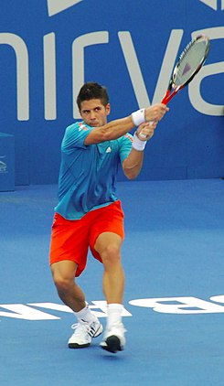 Verdasco Brisbane 2009.jpg