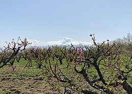 Abovyan – Veduta