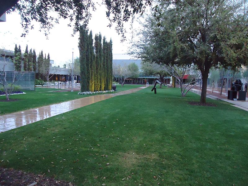 File:View of Phoenix Art museum outdoor garden area.JPG