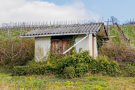 Vineyard cottage Weingarten Germany