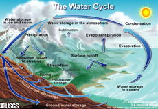 Water cycle.png