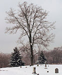 Wesleyan Cemetery, Cincinnati