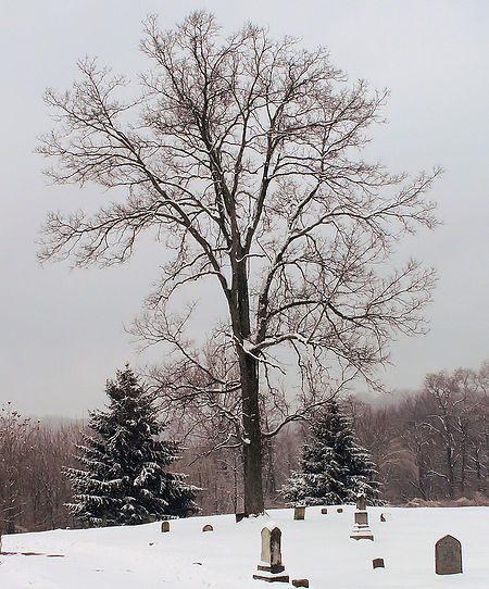 Wesleyan cemetery