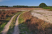 Nederlands: Westerheide, Hilversum English: Westerheide, Hilversum