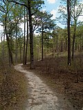Thumbnail for Weymouth Woods-Sandhills Nature Preserve