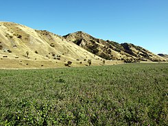 Wharanui Farmland.jpg