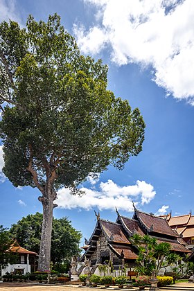 Wihan Ajahn Mun