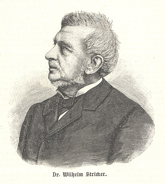 File:Wilhelm Stricker (Publizist).jpg