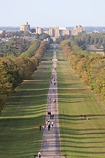 Windsor Great Park