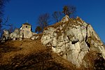 Ojców Castle