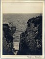 'Cliffs at Bondi' RAHS-Osborne Collection (14011218833).jpg