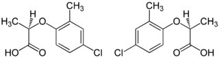 Structure of mecoprop