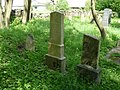 Čeština: Židovský hřbitov ve Stříteži, okres Jihlava. English: Jewish cemetery by the village of Střítež, Jihlava District, Vysočina Region, Czech Republic. This is a photo of a cultural monument of the Czech Republic, number: 37764/7-5233. Památkový katalog  · MIS  · hledat obrázky  · hledat seznamy  · Wikidata