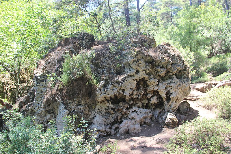 File:Древний коралл. Epta piges (7 источников). Archangelos. Rhodos. Greece. Июнь 2014 - panoramio.jpg