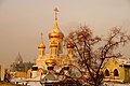 Маковки двух храмов Сретенского монастыря. Москва.jpg