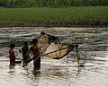 কয়েকজন মাছ ধরছে