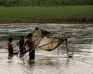 <span class="mw-page-title-main">Tanguar Haor</span> A wetland ecosystem in Bangladesh