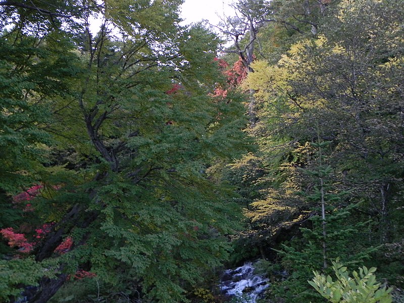 File:滝見橋の彩り - panoramio.jpg