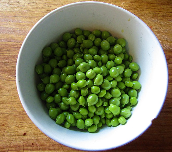 File:-2020-06-28 Garden pea (Pisum sativum), Trimingham, Norfolk (3).JPG