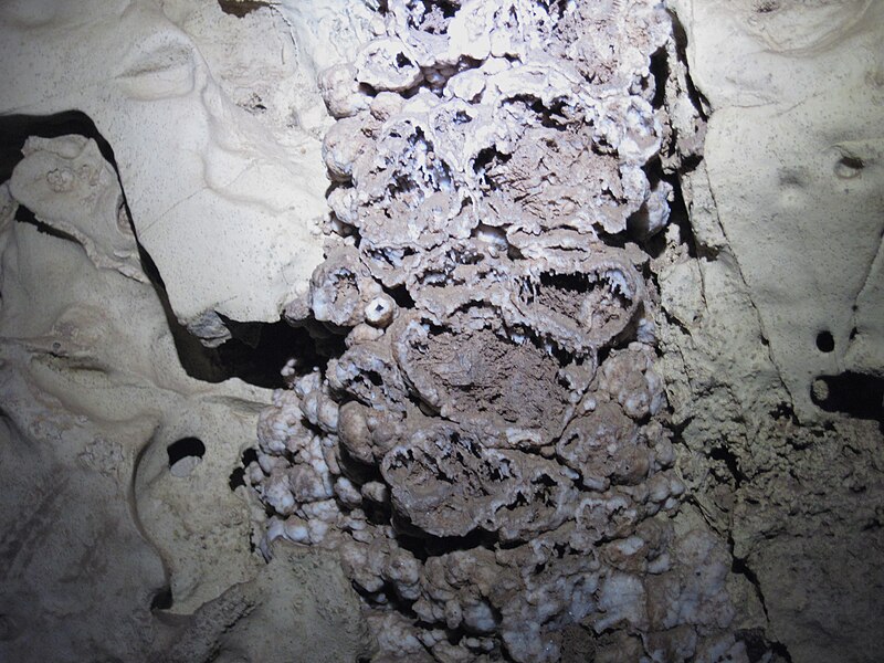 File:033 Silicified gyps. mass in corr. dol. block 3 (8321969166).jpg