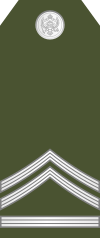 05-Montenegro Army-SFC.svg