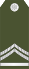 05-Montenegro Army-SFC.svg