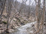 Coal Run (Chartiers Creek tributary)