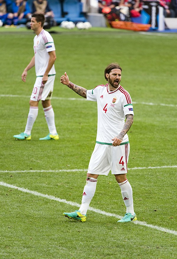 Kádár with Hungary at the UEFA Euro 2016