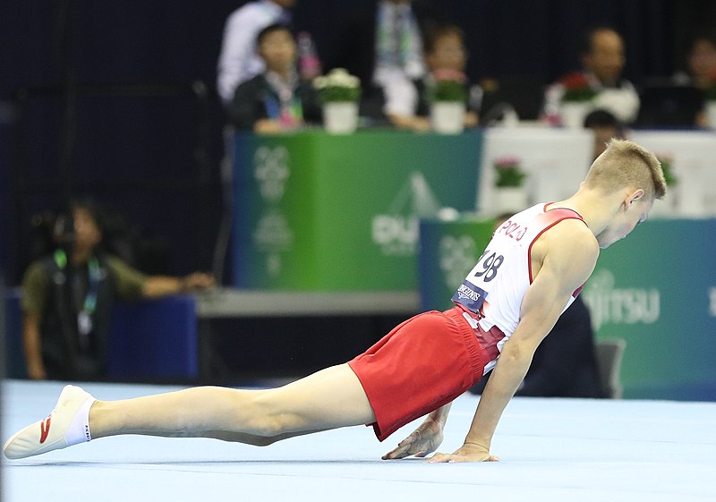 File:2019-06-27 1st FIG Artistic Gymnastics JWCH Men's All-around competition Subdivision 3 Floor exercise (Martin Rulsch) 338.jpg