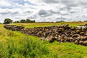 Remains of Birdoswald Roman Fort in Hadrian's Wall in the United Kingdom.