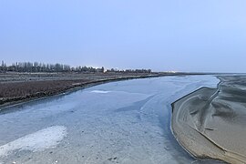 20231216 Tarim River in Aral 02.jpg