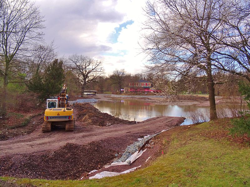 File:3 April 2015 Swan pond reshaping Dresden 118855029.jpg