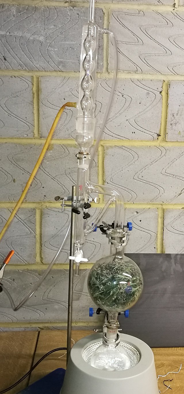 Steam distillation of essential oils фото 47