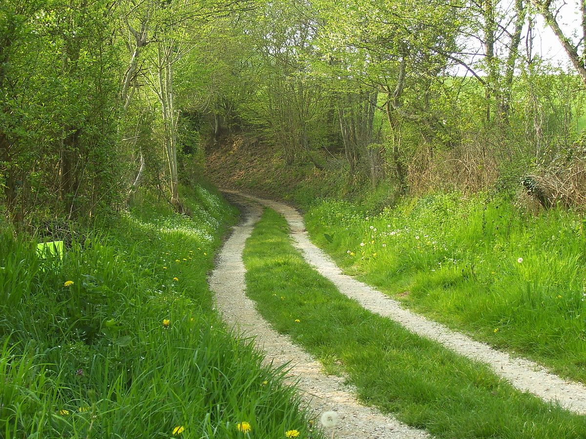 Country lane - Wikipedia