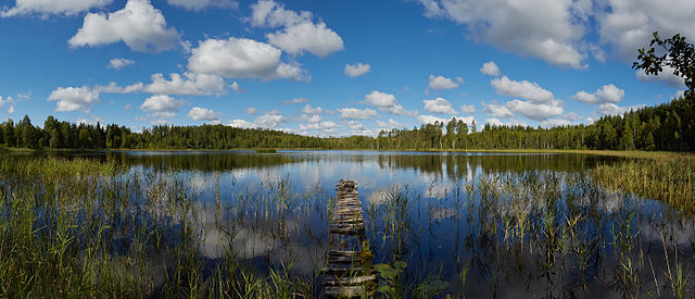 Озеро Аалупи. Пылвамаа, Эстония