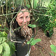 Adriana Briscoe studies butterflies