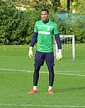 Vignette pour Alban Lafont