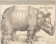 Albrecht Dürer, The Rhinoceros, 1515, NGA 47903