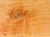 Alnus glutinosa wood tangent section 1 beentree.jpg