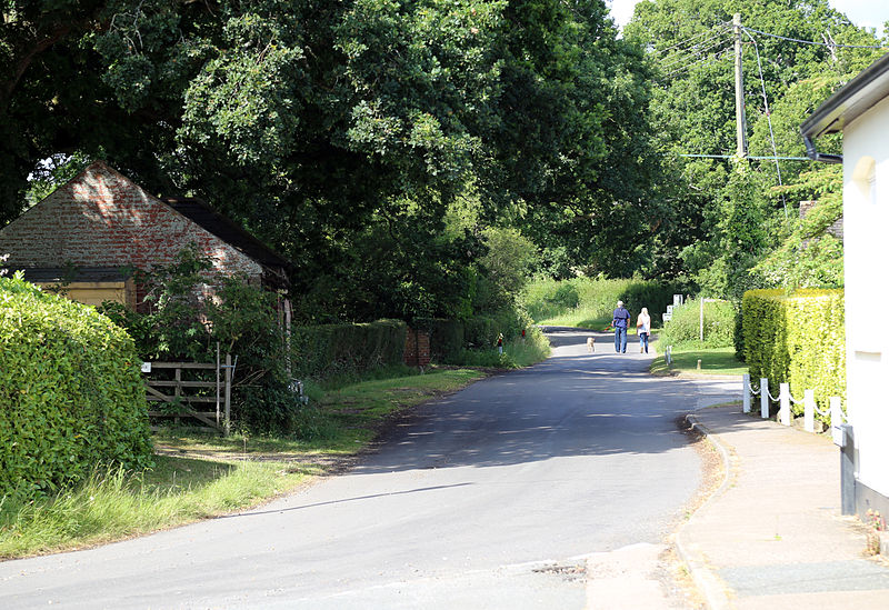 File:An aspect north at Shipley, West Sussex, England.JPG