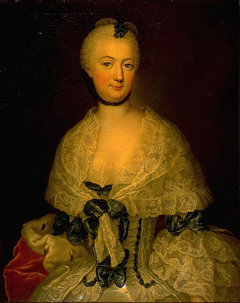 File:Anna Rosina Matthieu - Portrait of a Lady 1754.jpg