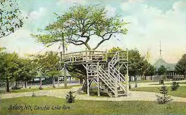 A postcard of an apple tree in Canobie Lake Park.